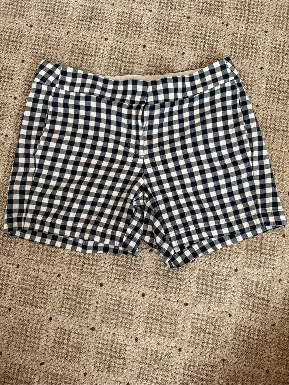 J. Crew Navy & White Gingham Women’s Shorts